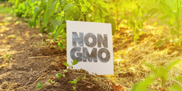 keto on a budget, student, budget-friendly recipes, healthy eating, nutrition, meal planning